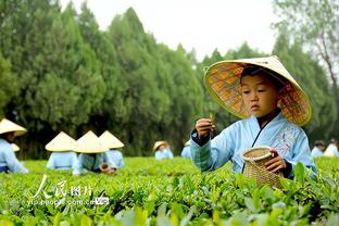 田径铁饼赛场惊现两只“哈基米” 是世界首次使用电子狗运送铁饼